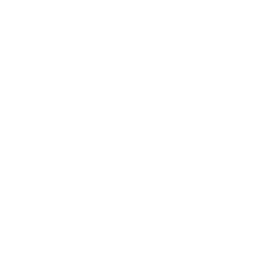 Webentwicklung Icon