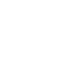 Onlineshop Icon